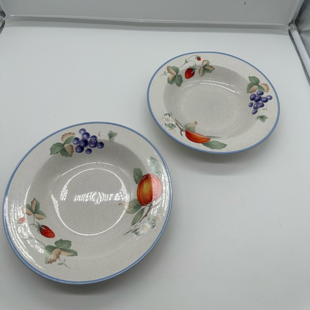 Set of 2 Savoir Vivre Luscious Rim Soup Bowls Bowl Fruit Japan JJ017